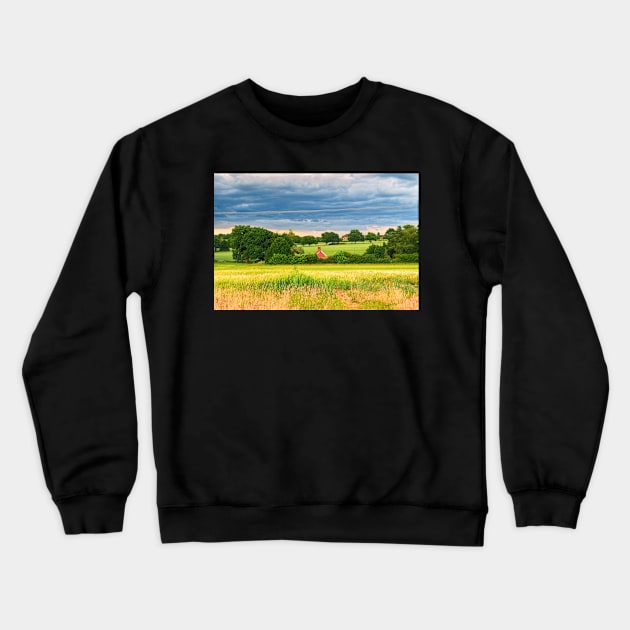 House In The Country Crewneck Sweatshirt by vincentjnewman